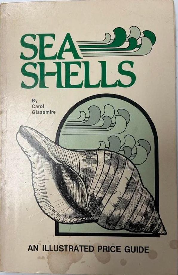Sea Shells