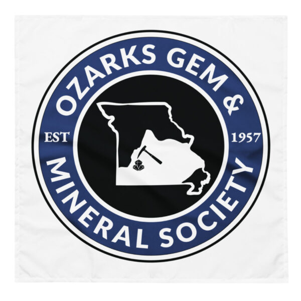 OGMS Logo All-over print pet bandana