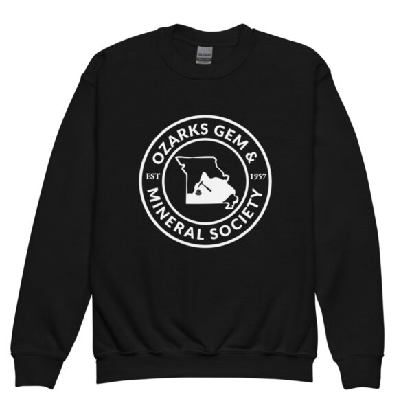 OGMS Logo Youth crewneck sweatshirt